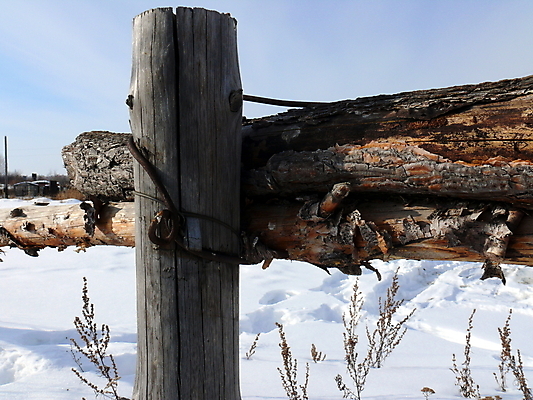 포토 JPG 해외이미지 벽 백그라운드 겨울 패턴 밭 자연 하늘 사람없음 야외 목재 파란색 울타리 시골 질감 내추럴 해외포토 나무 계절 컬러 무늬 농업 재료 담장 생태계 파일형식 이미지허브