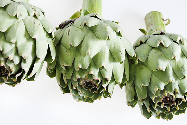 포토 JPG 해외이미지 음식 채소 실내 건강 3 사람없음 초록색 인테리어 닫기 아티초크 영양분 정물화 채식주의자 해외포토 디자인 컬러 모션 내부 그림 채식 파일형식 이미지허브