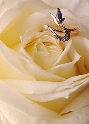 포토 JPG 해외이미지 식물 꽃잎 꽃 분홍색 결혼 백그라운드 잎 장신구 자연 결혼식 발렌타인데이 선물 사랑 사람없음 빨간색 뷰티 장미 노란색 파티 금속 활발 낭만 신혼여행 흰색 하트 축하 반지 신용카드 개화 황금 우아함 보석 심볼 순수 심플 초대 다이아몬드 강렬 사파이어 해외포토 모양 감정 컬러 컨셉 데이이벤트 재질 이벤트 금융 광석 생태계 파일형식 이미지허브