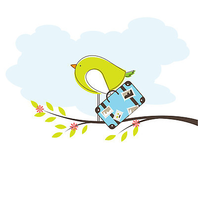 EPS 해외이미지 나무 식물 편집 디자인 계절 모래 바다 섬 여행 백그라운드 잎 일러스트 자연 조류 휴가 손바닥 미술 야외 그래픽 초록색 물 환경 여행가방 흰색 원형 땅 휴양지 하와이 코코넛 내추럴 고립 아열대 이국적 파라다이스 해외일러스트 자연요소 도형 동물 손 컬러 가방 과일 문화예술 미국 장소 생태계 파일형식 벡터 이미지허브