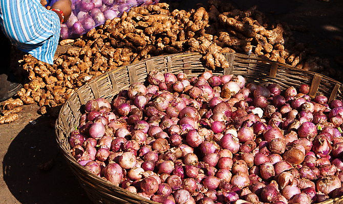 포토 JPG 해외이미지 남자 음식 채소 양파 사람없음 가로 바구니 시장 인도인 생강 해외포토 외국인 사람 동양인 파일형식 이미지허브