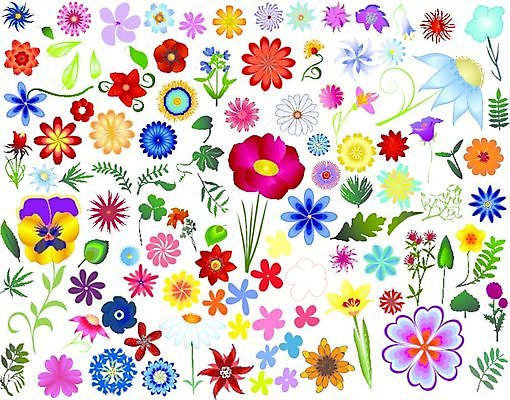 EPS 해외이미지 클립아트 모양 식물 디자인 꽃잎 꽃 실루엣 줄기 잎 꽃무늬 패턴 일러스트 자연 추상 휴가 장식 세트 컬러풀 봄 벚꽃 자녀 원형 화려 인쇄 다발 수집 허브 심볼 그림 복고 심플 고립 그런지 엘리먼트 캐모마일 방식 해외일러스트 도형 계절 컬러 컨셉 무늬 촬영기법 생태계 파일형식 벡터 이미지허브