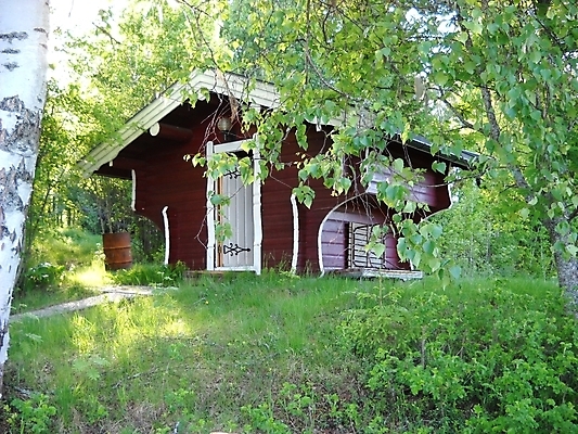 포토 JPG 해외이미지 나무 사람없음 초록색 태양 갈색 해외포토 자연요소 식물 컬러 파일형식 이미지허브