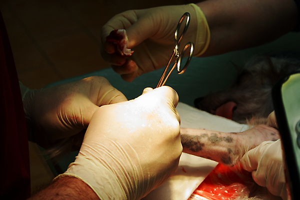 포토 JPG 해외이미지 유니폼 탁자 노동자 건강 병원 가면 사람 사람없음 치료 약 방 장비 환자 간호사 의사 도구 공구 램프 긴급 업무 수술 구출 개 질병 외과 유지 순서 돌봄 정형외과 살균 해외포토 직업 옷 가구 포유류 의학 모션 조명 의료진 작업 도움 파일형식 이미지허브