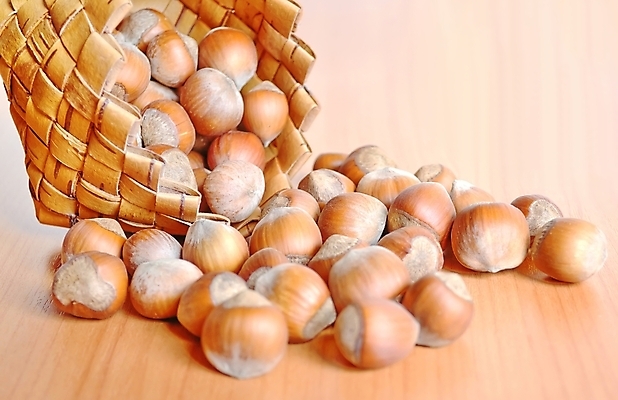 포토 JPG 해외이미지 음식 백그라운드 자연 건조 건강 씨앗 사람없음 목재 갈색 바구니 견과류 수확 껍질 양념 그룹 맛 떨어짐 먹기 가득함 오브젝트 흙더미 고립 채식주의자 개암 해외포토 나무 식물 열매 컬러 컨셉 농업 재료 모션 흙 생태계 채식 파일형식 더미 이미지허브