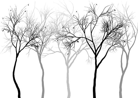 EPS 해외이미지 모양 나무 식물 계절 공원 실루엣 줄기 잎 겨울 일러스트 자연 목재 그래픽 세트 정원 검은색 성장 흰색 나뭇가지 그룹 숲 그림 고립 해외일러스트 공공시설 컬러 재료 촬영기법 생태계 파일형식 벡터 이미지허브