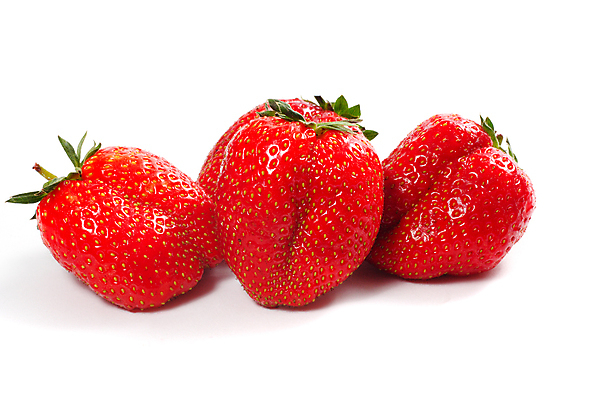 포토 JPG 해외이미지 식물 라이프스타일 열매 음식 다이어트 과일 재료 자연 딸기 디저트 건강 씨앗 사람없음 빨간색 활발 신선 그룹 변화 닫기 달콤 맛 아침식사 먹기 숙성 채식주의자 해외포토 컬러 컨셉 모션 생활 식사 생태계 채식 파일형식 이미지허브