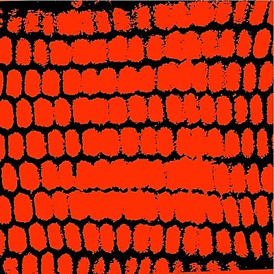 EPS 해외이미지 모양 디자인 음식 패턴 일러스트 자연 세포 미술 그래픽 빨간색 약 검은색 머리빗 그물 달콤 오브젝트 유기농 질감 육각형 꿀 기하학 벌집 그런지 밀랍 엘리먼트 왁스 해외일러스트 도형 웰빙 컬러 무늬 의학 문화예술 미용용품 맛 생태계 파일형식 벡터 이미지허브