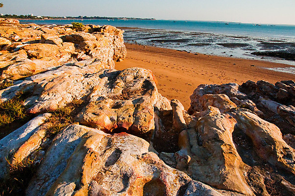 포토 JPG 해외이미지 야생동물 모래 바다 사람없음 물 파란색 태평양 해외포토 자연요소 동물 컬러 파일형식 이미지허브