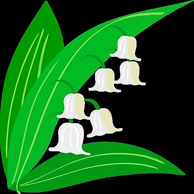 EPS 해외이미지 식물 꽃잎 꽃 줄기 꽃무늬 일러스트 자연 야외 초록색 여름 약 우주 계곡 봄 종 흰색 숲 백합 작음 허브 향수 묘사 향기 냄새 심플 아로마 슛 고립 취급주의 해외일러스트 계절 컬러 무늬 의학 경고 화장품 크기 생태계 파일형식 벡터 이미지허브