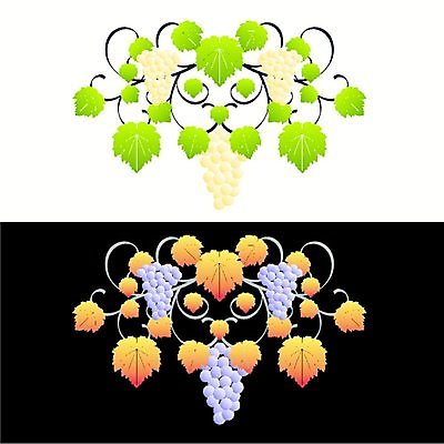 EPS 해외이미지 클립아트 모양 식물 꽃 실루엣 잎 꽃무늬 곡선 일러스트 그래픽 장식 여름 세트 검은색 골동품 화려 모서리 인쇄 두루마리 문신 심볼 사인 그림 비네팅 내추럴 그런지 바로크 빅토리아 엘리먼트 국경 해외일러스트 계절 선 컬러 컨셉 무늬 촬영기법 파일형식 벡터 이미지허브