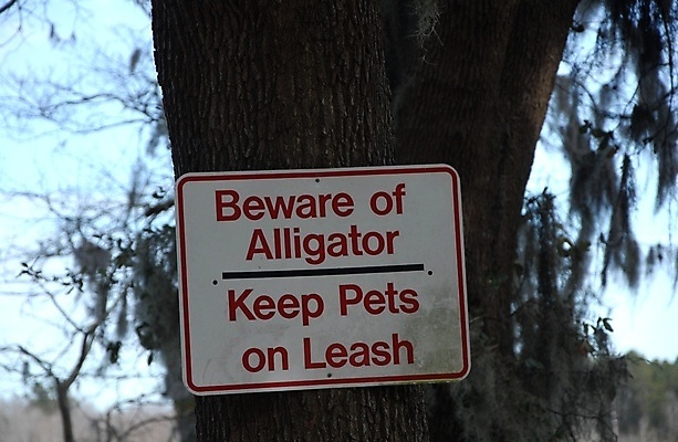 포토 JPG 해외이미지 경고 사람없음 빨간색 반려동물 위험 사인 고립 해외포토 동물 컬러 컨셉 파일형식 이미지허브