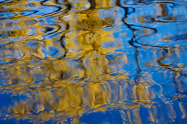 포토 JPG 해외이미지 나무 계절 물결 파도 백그라운드 잎 자연 추상 사람없음 물 파란색 컬러풀 반사 평화 차도 낭만 황금 웨이브 10월 해외포토 자연요소 식물 도로 바다 컬러 컨셉 무늬 날짜 생태계 파일형식 이미지허브