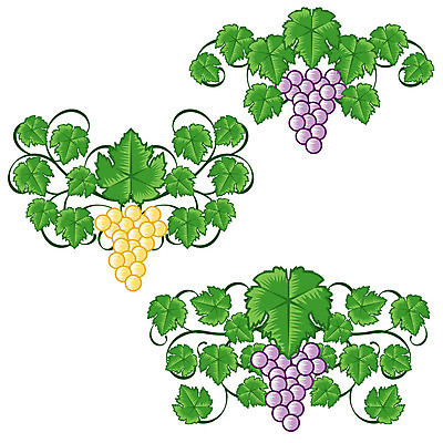 EPS 해외이미지 클립아트 모양 식물 꽃 실루엣 잎 꽃무늬 곡선 일러스트 그래픽 장식 여름 세트 검은색 골동품 화려 모서리 인쇄 두루마리 문신 심볼 사인 그림 비네팅 내추럴 그런지 바로크 빅토리아 엘리먼트 국경 해외일러스트 계절 선 컬러 컨셉 무늬 촬영기법 파일형식 벡터 이미지허브