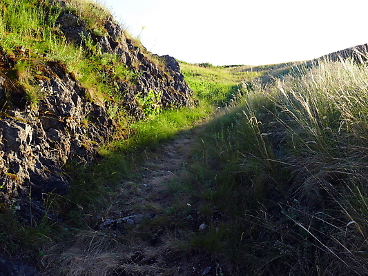 포토 JPG 해외이미지 계절 길 백그라운드 밭 농업 자연 하늘 날씨 사람없음 야외 초록색 파란색 태양 농장 농경지 환경 맑음 일몰 봄 시골 신선 땅 장면 내추럴 평야 수평선 해외포토 자연요소 산업 컬러 노을 생태계 파일형식 이미지허브
