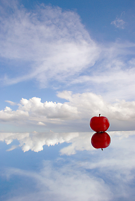 포토 JPG 해외이미지 나무 음식 줄기 백그라운드 농업 다이어트 과일 자연 놀이 하늘 함께함 선물 사람없음 야외 빨간색 상점 활발 성장 신선 선택 보호 사과 다발 순수 주기 유기농 리빙 슈퍼마켓 내추럴 점심식사 돌봄 숙성 영양분 핵심 해외포토 식물 웰빙 산업 컬러 컨셉 모션 건강 식사 생태계 파일형식 이미지허브