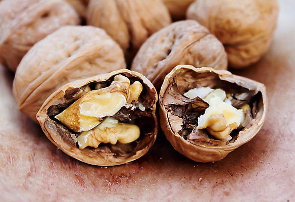 포토 JPG 해외이미지 음식 건강 사람없음 가로 갈색 견과류 껍질 닫기 맛 큼 유기농 호두 깨짐 해외포토 웰빙 컬러 컨셉 모션 크기 파일형식 이미지허브