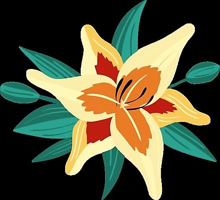 EPS 해외이미지 식물 1 꽃잎 꽃 꽃다발 백그라운드 십자가 잎 꽃무늬 일러스트 부분 자연 친절 초록색 평화 정원 검은색 봄 흰색 축하 신선 오픈 우아함 확대 백합 향기 부드러움 고립 천진난만 특별함 평야 미니멀리스트 해외일러스트 계절 컬러 컨셉 무늬 감각 생태계 냄새 파일형식 벡터 이미지허브