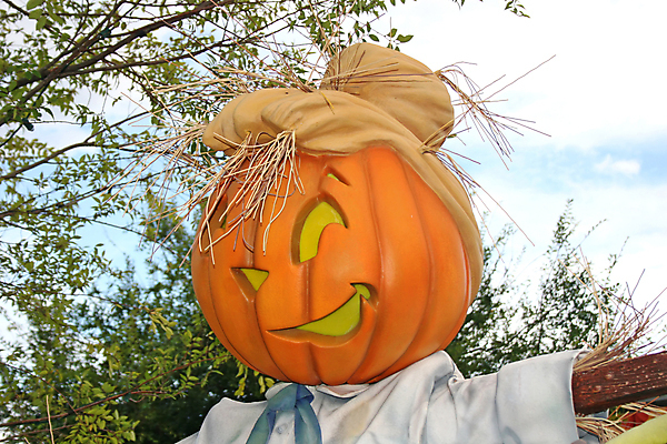 포토 JPG 해외이미지 계절 행복 얼굴 음식 채소 오렌지 호박 휴가 미소 사람없음 장식 빨간색 파티 검은색 할로윈 가을 흰색 해외포토 감정 컬러 과일 표정 이벤트 신체부위 파일형식 이미지허브