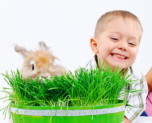 포토 JPG 해외이미지 동물 백인 전통 행복 유럽 어린이 백그라운드 휴가 부활절 한명 웃음 앉기 소년 잔디 초원 빨간색 초록색 파란색 반려동물 컬러풀 갈색 노란색 계란 흰색 축하 아기 토끼 둥지 4월 솜털 일요일 걸음마 고립 카피스페이스 해외포토 서양인 식물 1 기념일 남자 감정 나라 컬러 컨셉 포유류 모션 표정 사람 알 공백 날짜 요일 파일형식 이미지허브