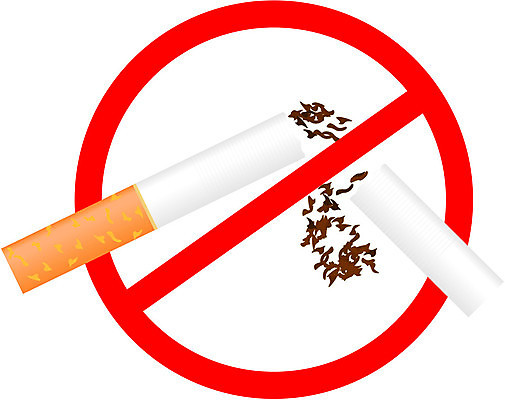 EPS 해외이미지 일러스트 흡연 담배 사람없음 손상 금지 자르기 금연 담배꽁초 담뱃잎 흡연금지 해외일러스트 캠페인 컨셉 잎 모션 사회이슈 파일형식 벡터 이미지허브