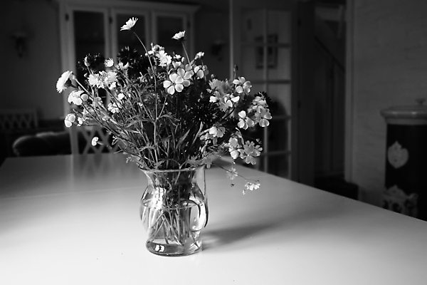 포토 JPG 해외이미지 식물 계절 꽃잎 꽃 꽃다발 백그라운드 잎 꽃무늬 자연 유리 탁자 주택 흑백 발렌타인데이 선물 사랑 사람없음 장식 물 빛 뷰티 꽃병 봄 활발 낭만 벚꽃 흰색 시골 축하 신선 개화 클래식 우아함 혼합 다발 배열 향기 내추럴 강렬 해외포토 자연요소 감정 컬러 가구 컨셉 무늬 데이이벤트 재질 촬영기법 건물 생태계 냄새 파일형식 이미지허브