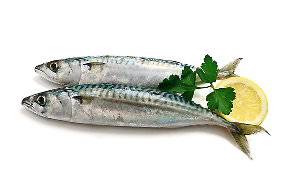 포토 JPG 해외이미지 동물 커플 음식 바다 백그라운드 잎 2 다이어트 재료 자연 파슬리 건강 육류 어류 요리 사람없음 젖음 흰색 신선 입 맛 은색 자르기 먹기 레몬 해산물 꼬리 날것 고등어 고립 단백질 생식 소금물 맛있는 해외포토 식물 컬러 컨셉 채소 과일 식재료 관계 모션 신체부위 수중동물 생태계 영양소 파일형식 이미지허브