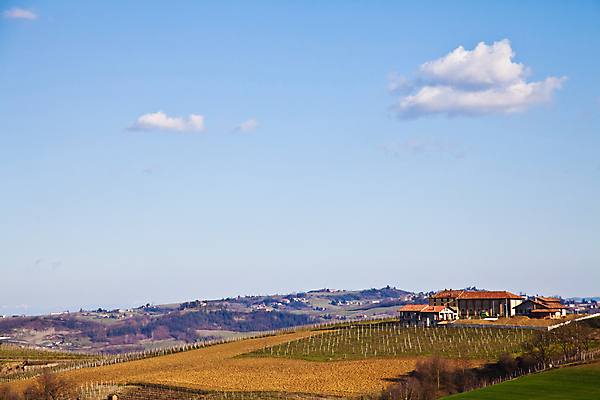 포토 JPG 해외이미지 나무 식물 구름 계절 유럽 밭 자연 주택 풍경 사람없음 야외 농장 농경지 와인 일몰 봄 이탈리아 성장 시골 빌라 언덕 포도밭 장면 포도나무 산기슭 밭일 양조장 토스카나 피에몬테 해외포토 자연요소 나라 농업 산 주류 건물 노을 과일나무 생태계 파일형식 이미지허브