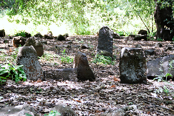 포토 JPG 해외이미지 나무 종교 문화 휴식 벽돌 이끼 풍경 사람없음 야외 초록색 침묵 추위 골동품 바위 기도 시골 무덤 영혼 중세 역사 숲 묘사 과거 장면 판 장례 구식 옛날 파멸 해외포토 식물 컬러 컨셉 소리 돌_바위 파일형식 소멸 이미지허브