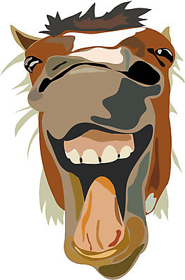 EPS 해외이미지 동물 응시 일러스트 포유류 자연 미소 웃음 반려동물 갈색 머리 흰색 입 승마 치아 승차 혀 코 귀 갈기 조랑말 안장 내추럴 기르기 서쪽 충실 해외일러스트 시선 스포츠 컬러 모션 표정 신체부위 말_동물 소화기관 방향 생태계 돌봄 파일형식 벡터 이미지허브