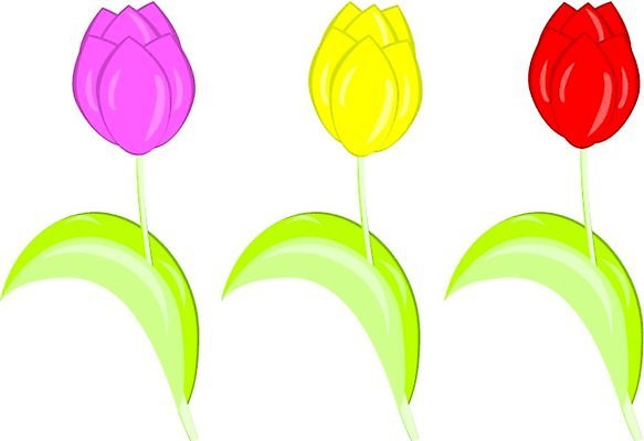 EPS 해외이미지 식물 디자인 배너 계절 꽃잎 꽃 리본 줄기 분홍색 백그라운드 잎 꽃무늬 일러스트 자연 추상 휴가 새로움 발렌타인데이 선물 사랑 미술 그래픽 장식 빨간색 초록색 컴퓨터 세트 노란색 우주 봄 튤립 벚꽃 흰색 생일 심볼 싱글 그림 클립 고립 엘리먼트 스타일 해외일러스트 기념일 감정 컬러 컨셉 무늬 데이이벤트 문화예술 전자제품 생태계 파일형식 벡터 이미지허브