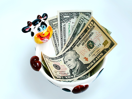 포토 JPG 해외이미지 산업 컨셉 지폐 돈 비즈니스 미소 안전 사람없음 금융 경제 쌓기 달러 쪽지 미국 소고기 도자기 소 사발 변화 시장 재산 주식 만화 속도 황소 투자 결제 점토 신성 이익 가치 계산서 페니 포트폴리오 해외포토 북아메리카 포유류 모션 표정 육류 동전 사기그릇 파일형식 이미지허브