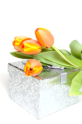 포토 JPG 해외이미지 식물 계절 꽃 줄기 꽃다발 백그라운드 컨셉 잎 꽃무늬 자연 휴가 부활절 발렌타인데이 선물 사랑 사람없음 장식 초록색 컬러풀 뷰티 노란색 정원 보라색 봄 낭만 튤립 벚꽃 흰색 축하 인사 신선 생일 우아함 다발 배열 꽃집 심볼 오브젝트 내추럴 고립 해외포토 기념일 감정 컬러 무늬 데이이벤트 상점 예절 생태계 파일형식 이미지허브