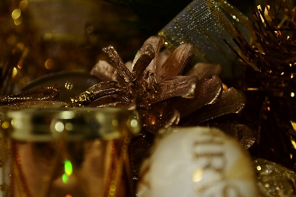 포토 JPG 해외이미지 전통 계절 리본 백그라운드 크리스마스장식 크리스마스 겨울 공 휴가 기념 선물 사람없음 장식 초록색 빛 상자 축제 기쁨 장식볼 흰색 나뭇가지 축하 소나무 황금 은색 12월 연도 오브젝트 활 드럼 패키지 원뿔 노엘 해외포토 도형 나무 기념일 감정 컬러 컨셉 타악기 날짜 파일형식 이미지허브