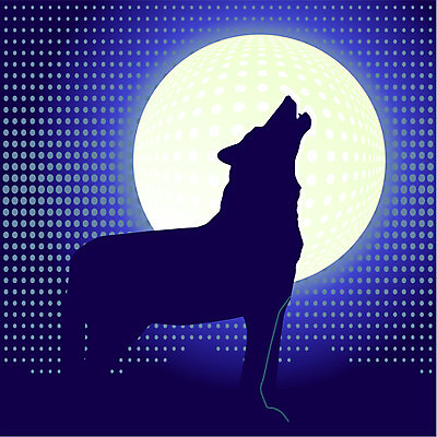 EPS 해외이미지 실루엣 야생동물 일러스트 어둠 할로윈 달 저녁 신비 무서움 사인 야광 오싹 해외일러스트 자연요소 동물 감정 컨셉 촬영기법 빛 야간 파일형식 벡터 이미지허브