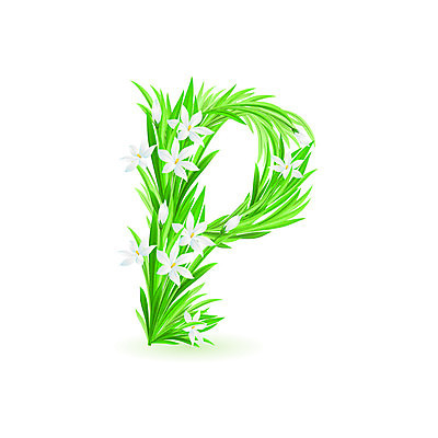 EPS 해외이미지 모양 식물 캐릭터 디자인 알파벳 계절 지구 백그라운드 컨셉 잎 꽃무늬 일러스트 텍스트 자연 장식 초록색 숫자 환경 봄 활발 흰색 신선 메시지 편지 심볼 오브젝트 사인 싱글 유기농 질감 타입 내추럴 고립 생태학 옛날 해외일러스트 일러캐릭터 문자 웰빙 영어 교육 꽃 컬러 무늬 생태계 파일형식 벡터 이미지허브