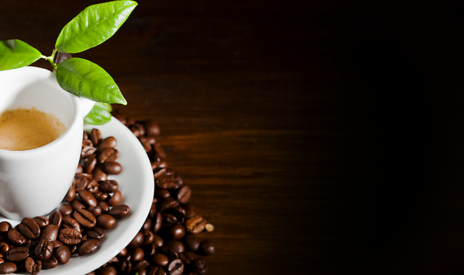 포토 JPG 해외이미지 커피 음료 음식 잎 사람없음 컵 카페 에너지 원두 바 굽기 만취 준비 카푸치노 에스프레소 카페인 해외포토 식물 식기 상점 구이 술취함 파일형식 이미지허브