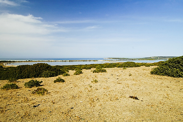 포토 JPG 해외이미지 모래 섬 여행 휴가 사람없음 물 여름 수영 목욕 이탈리아 다이빙 암초 해외포토 자연요소 계절 유럽 청결 수상스포츠 수중스포츠 파일형식 이미지허브