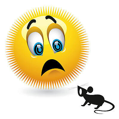 EPS 해외이미지 동물 캐릭터 여자 감정 얼굴 어린이 일러스트 공 스트레스 사람 그래픽 표현 쥐 무서움 만화 심볼 사인 흔들림 클립 공포 배지 활기 이모티콘 해외일러스트 일러캐릭터 컨셉 모션 신체부위 설치류 파일형식 벡터 이미지허브