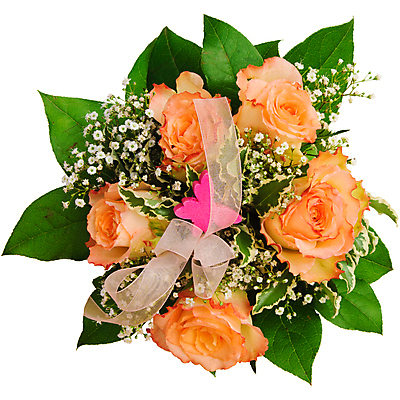 포토 JPG 해외이미지 식물 기념일 꽃잎 꽃 꽃다발 결혼 백그라운드 컨셉 꽃무늬 자연 기념 발렌타인데이 선물 사랑 사람없음 장식 초록색 컬러풀 뷰티 장미 봄 흰색 축하 인사 신선 우아함 다발 배열 꽃집 묘사 열정 내추럴 고립 칭찬 해외포토 계절 감정 컬러 무늬 데이이벤트 이벤트 상점 예절 생태계 파일형식 이미지허브