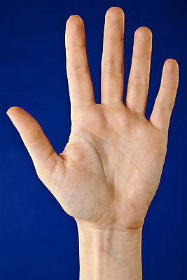 포토 JPG 해외이미지 손 2 손가락 손바닥 사람없음 파란색 흰색 오픈 심볼 사인 해외포토 컬러 신체부위 파일형식 이미지허브