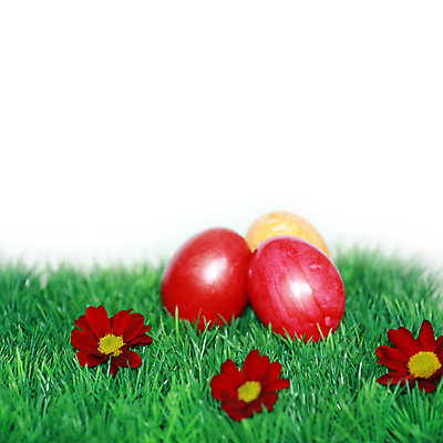 포토 JPG 해외이미지 전통 디자인 계절 꽃 행복 기독교 종교 음식 백그라운드 꽃무늬 패턴 자연 휴가 부활절 창조 선물 사람없음 장식 빨간색 초록색 컬러풀 계란 페인트 놀람 봄 흰색 축하 토끼 둥지 4월 수집 심볼 고립 해외포토 식물 기념일 감정 컬러 컨셉 무늬 포유류 표정 반려동물 알 날짜 생태계 파일형식 이미지허브