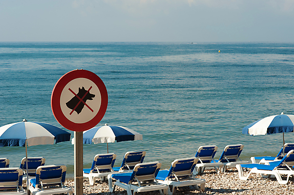 포토 JPG 해외이미지 주간 반려견 바다 해변 사람없음 야외 여름 여름풍경 금지 파라솔 표지판 선베드 동물모양 출입금지 해외포토 자연요소 모양 동물 계절 의자 알림판 풍경 반려동물 개 파일형식 여름_계절 이미지허브