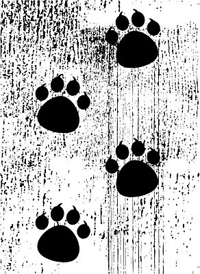 EPS 해외이미지 클립아트 모양 동물 디자인 실루엣 야생동물 백그라운드 패턴 일러스트 곰 미술 그래픽 장식 반려동물 고양이 산책 흰색 호랑이 그룹 개 강아지 인쇄 발자국 만화 심볼 사인 질감 사냥 클립 사냥개 발가락 우표 단계 그런지 땅바닥 선로 양발 자취 집게발 스타일 해외일러스트 컬러 무늬 포유류 자국 발 문화예술 휴식 바닥 촬영기법 파일형식 벡터 이미지허브