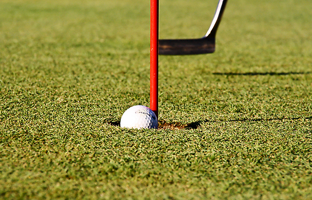 포토 JPG 해외이미지 스포츠 포즈 골프 공 자연 놀이 휴식 골프공 취미 사람없음 야외 가로 초록색 경쟁 게임 흰색 구멍 목표 강의 연습 클럽 기어 골프티 때리기 해외포토 컬러 컨셉 모션 골프용품 구기 생태계 파일형식 이미지허브