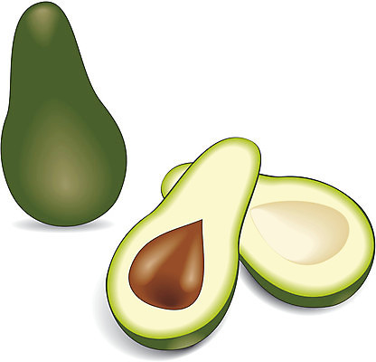 EPS 해외이미지 음식 과일 일러스트 재료 디저트 건강 초록색 갈색 노란색 신선 알맹이 날것 악어 아보카도 고립 숙성 채식주의자 맛있는 해외일러스트 컬러 파충류 채식 파일형식 벡터 이미지허브