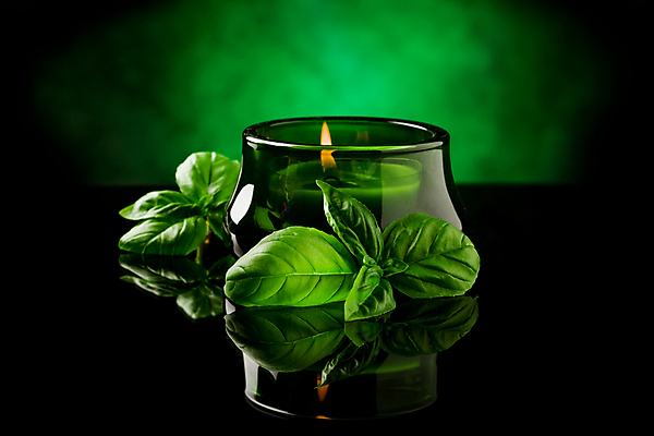 포토 JPG 해외이미지 아시아 잎 불 휴식 건강 동양인 사람없음 초록색 스파 맛 대나무 오브젝트 향기 바질 왁스 해외포토 자연요소 나무 식물 나라 컬러 컨셉 인종 냄새 파일형식 이미지허브