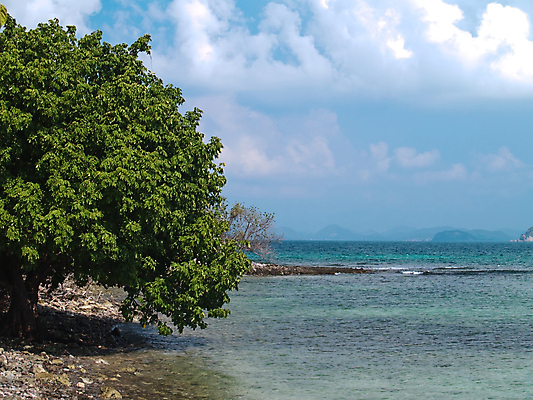 포토 JPG 해외이미지 나무 식물 구름 아시아 바다 여행 태국 자연 하늘 산 동양인 사람없음 야외 환경 해외포토 자연요소 나라 인종 생태계 파일형식 이미지허브