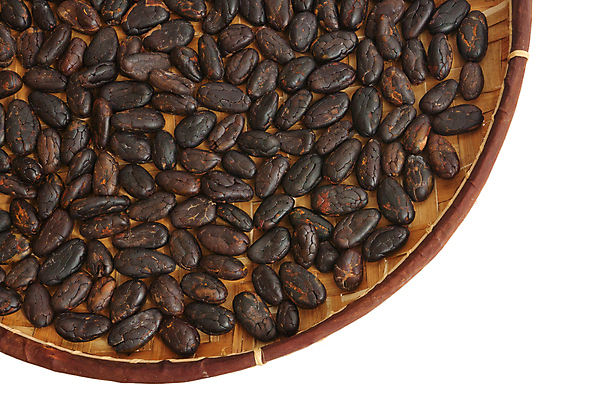 포토 JPG 해외이미지 식물 음식 백그라운드 농업 다이어트 과일 재료 자연 디저트 콩 사탕 요리 사람없음 갈색 바구니 초콜릿 어둠 흰색 달콤 맛 먹기 묘사 날것 코코아 내추럴 고립 마다가스카르 카카오 맛있는 해외포토 산업 음료 컬러 컨셉 모션 곡류 건강 생태계 파일형식 이미지허브