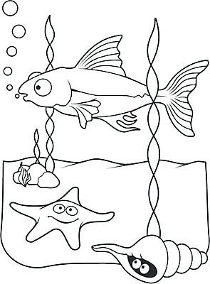 EPS 해외이미지 동물 바다 일러스트 불가사리 어류 물 수중 수영 거품 껍질 만화 수족관 색칠공부 해외일러스트 자연요소 극피동물 학습 수중동물 수상스포츠 색칠 파일형식 벡터 이미지허브